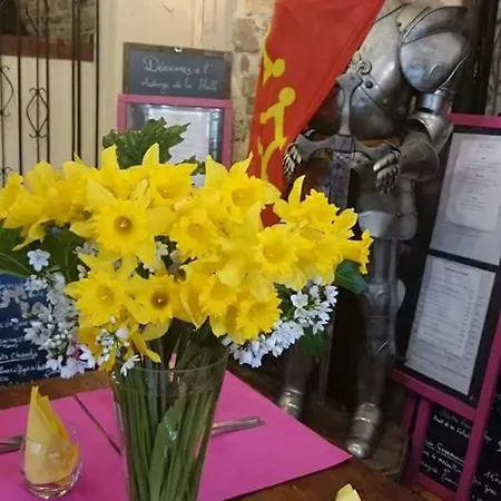 哈勒旅馆 西埃勒河畔科尔德